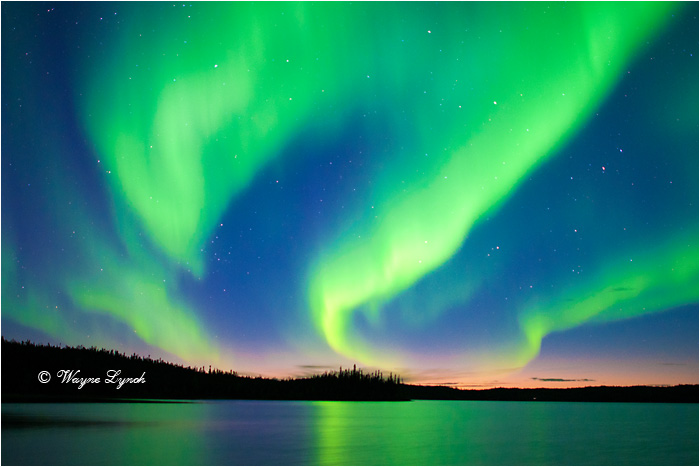 Aurora Borealis by Dr. Wayne Lynch &copy;